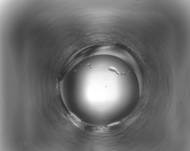 X0000065240288200602211221