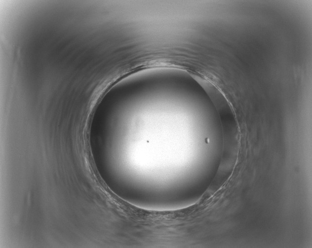 X0000065240289200602211221