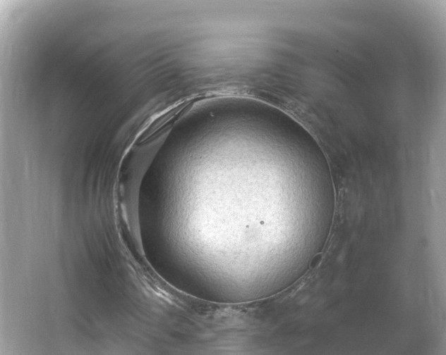 X0000065240290200602211221