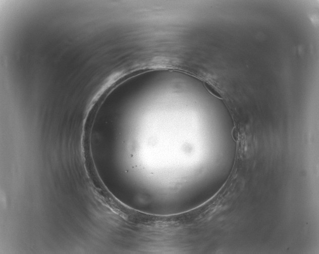 X0000065240292200602211220