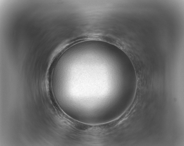 X0000065240294200602211220