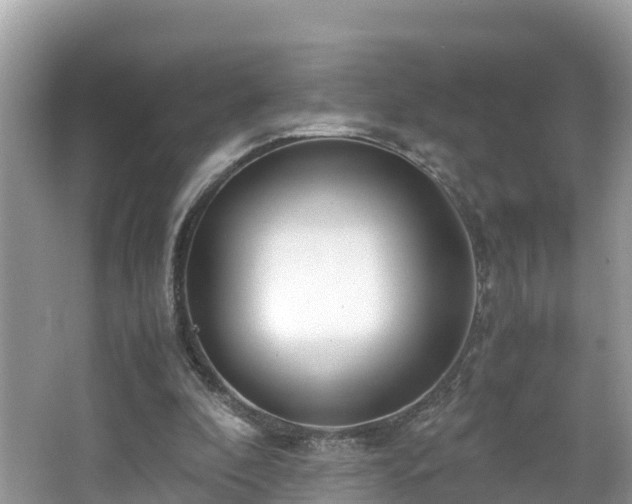 X0000065240296200602211220