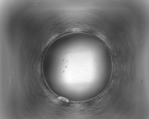 X0000065240297200602211220