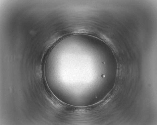 X0000065240298200602211220