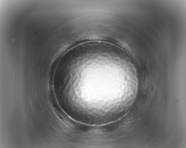 X0000065240299200602211220