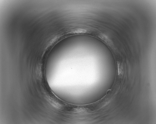 X0000065240300200602211220