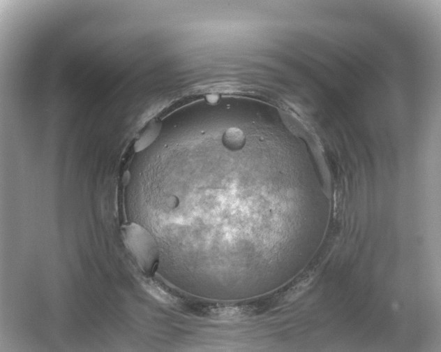 X0000065240301200602211220