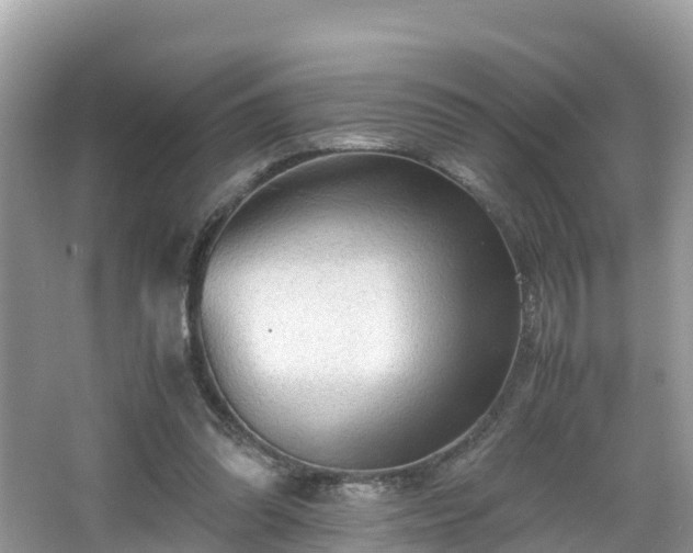 X0000065240302200602211220