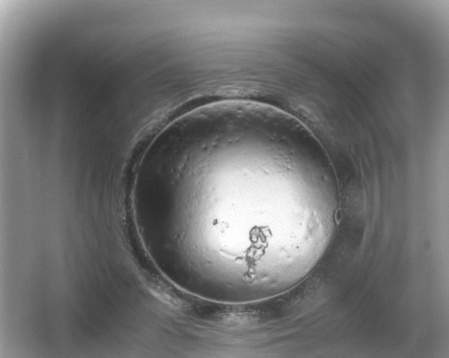 X0000065240303200602211220