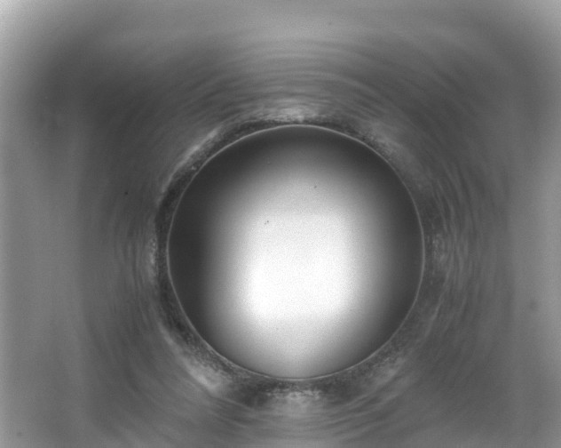 X0000065240304200602211220