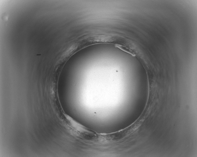 X0000065240305200602211220