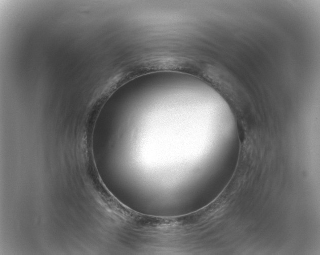 X0000065240306200602211220