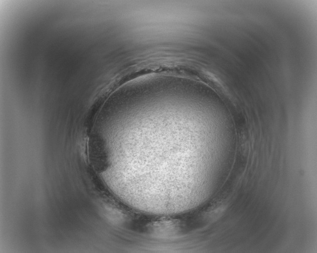 X0000065240307200602211220