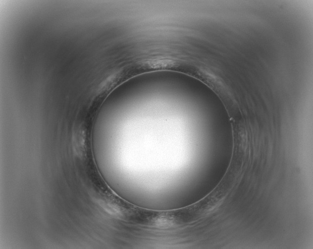 X0000065240308200602211220