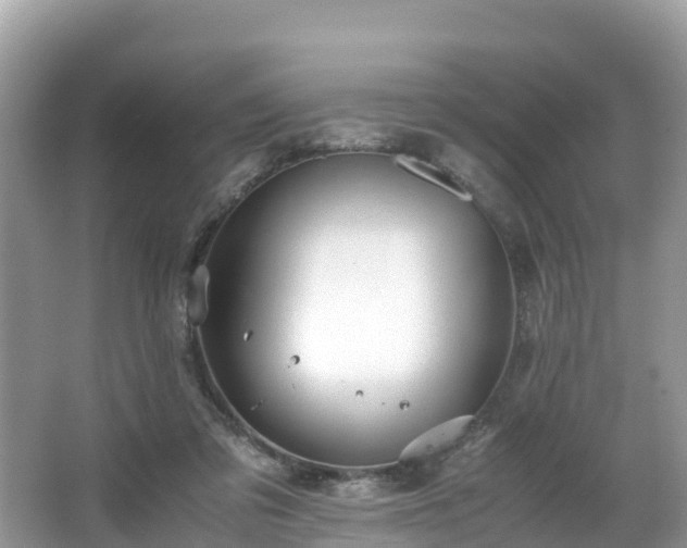 X0000065240309200602211220