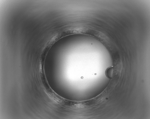 X0000065240310200602211220