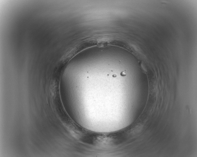 X0000065240311200602211220