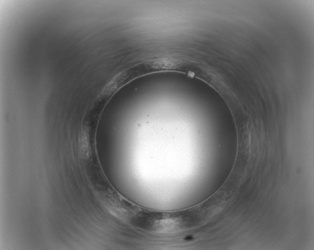 X0000065240312200602211220