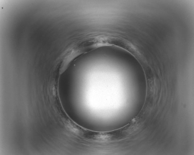 X0000065240313200602211220