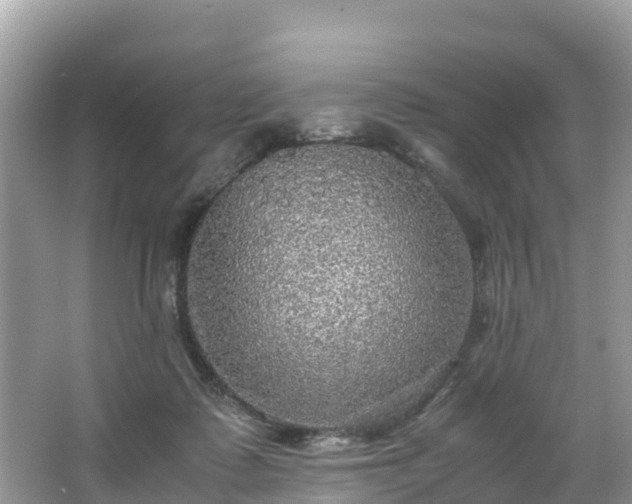 X0000065240315200602211220