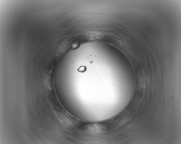 X0000065240316200602211220