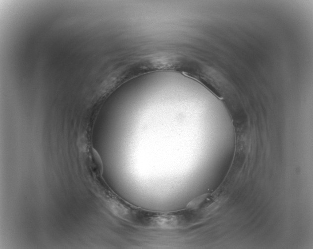 X0000065240317200602211220