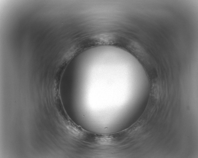 X0000065240318200602211220