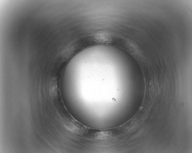 X0000065240320200602211220