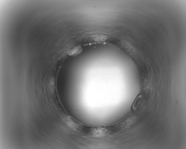 X0000065240321200602211220