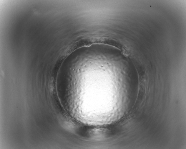 X0000065240323200602211220