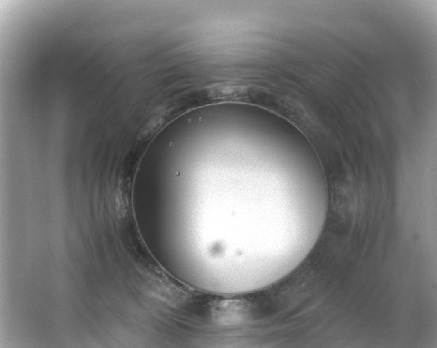 X0000065240324200602211220