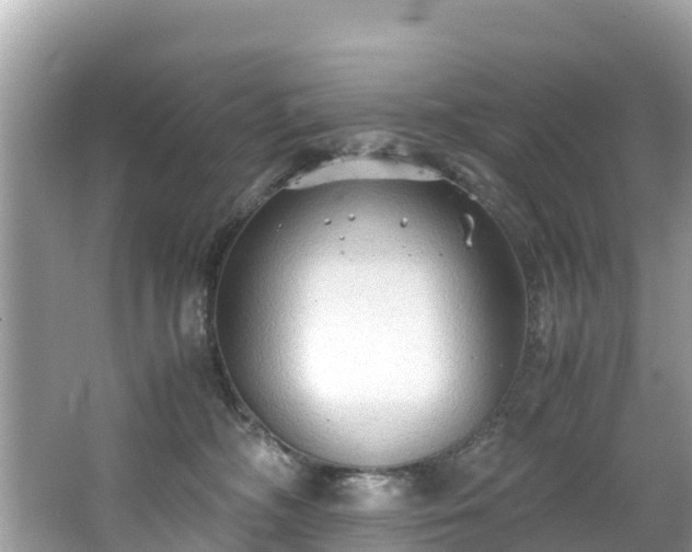 X0000065240326200602211220