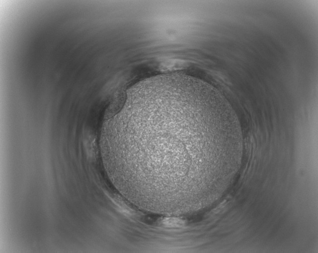 X0000065240327200602211220