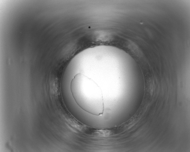 X0000065240328200602211220