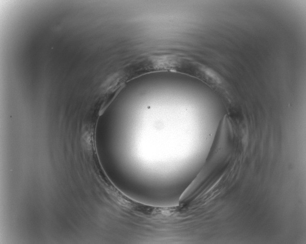 X0000065240329200602211220