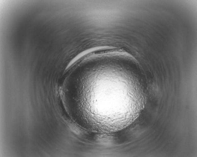 X0000065240331200602211220