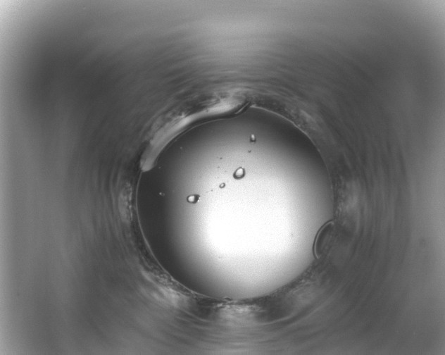 X0000065240332200602211220