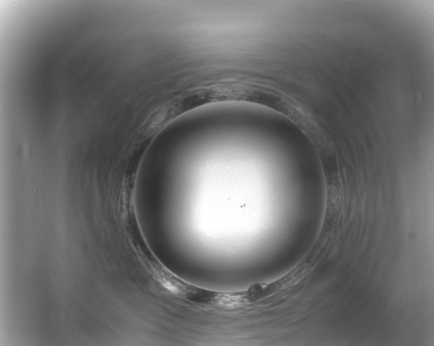 X0000065240333200602211220