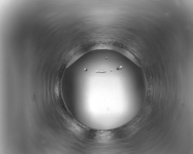 X0000065240334200602211220