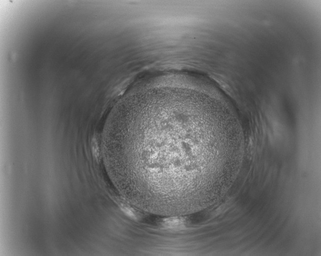 X0000065240335200602211220