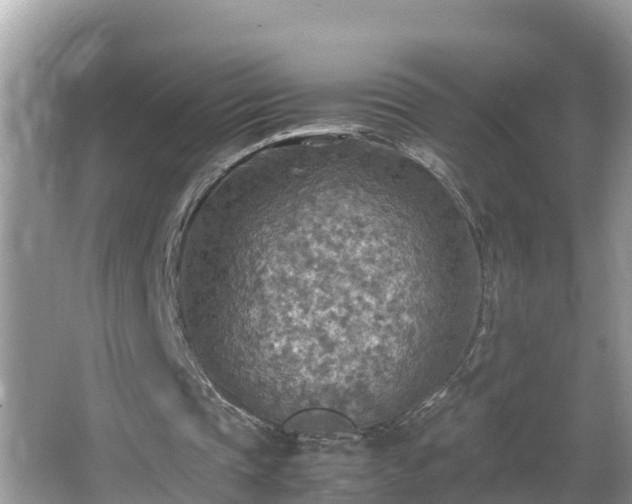 X0000065240337200602211219