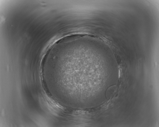 X0000065240339200602211219