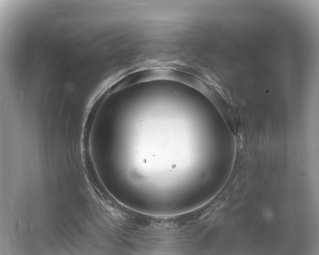 X0000065240340200602211219