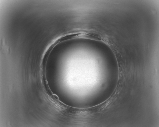 X0000065240342200602211219