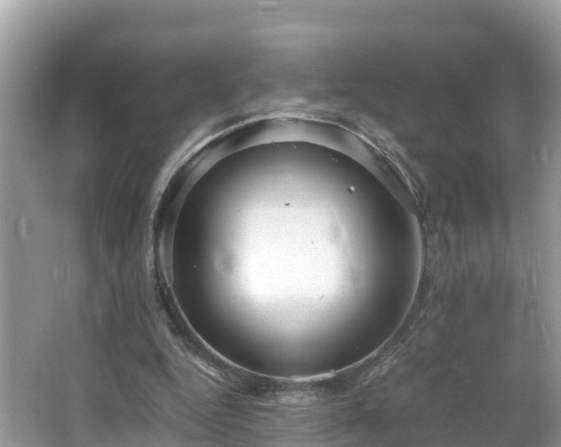 X0000065240344200602211219