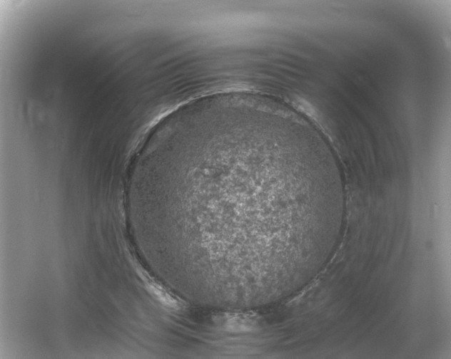 X0000065240345200602211219