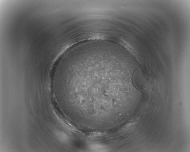 X0000065240347200602211219