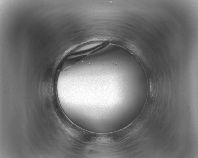 X0000065240348200602211219