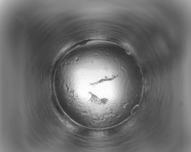 X0000065240349200602211219