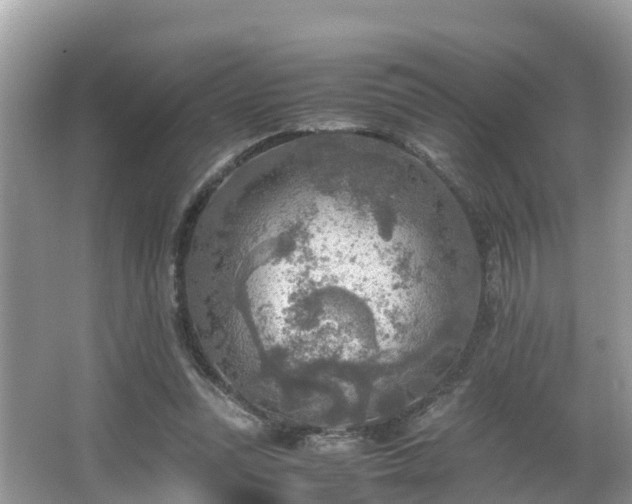 X0000065240351200602211219